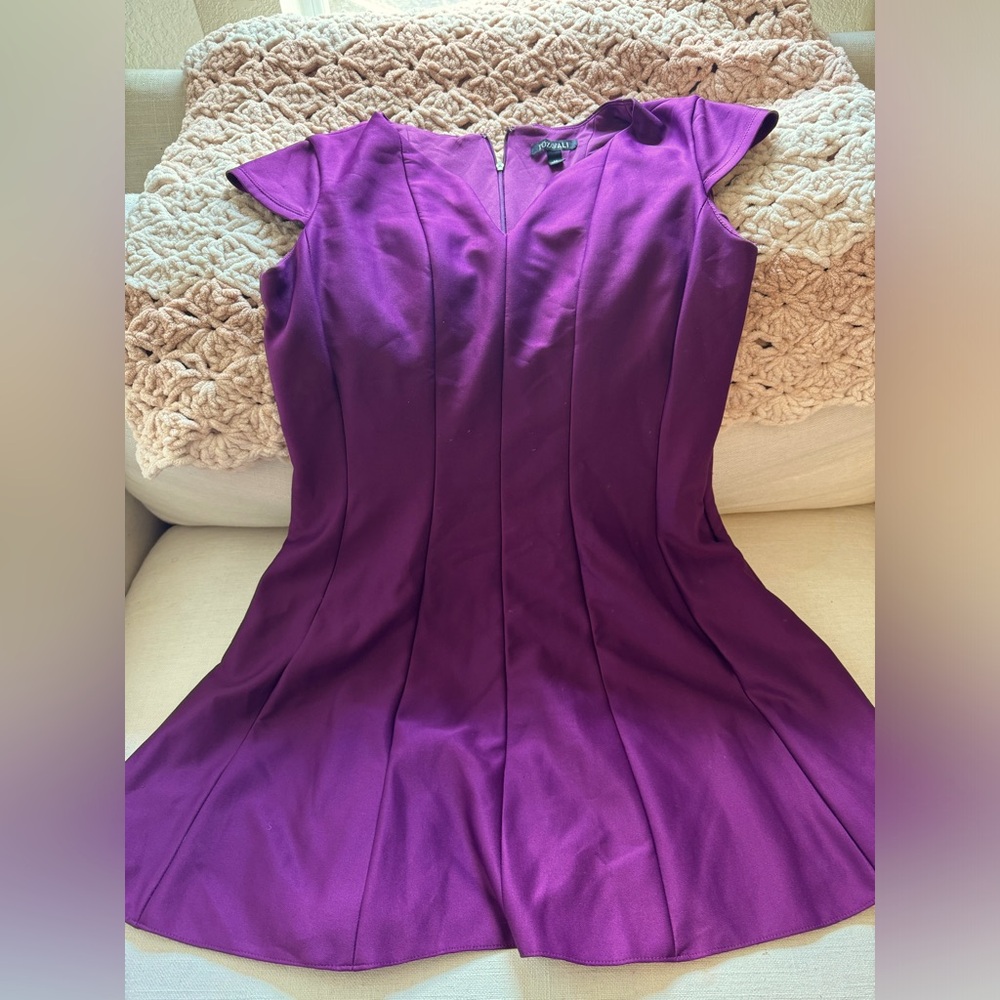 Roz and Ali purple petiet Dress